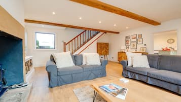 Smart TV, fireplace, Netflix, books