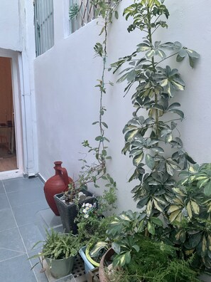 Detalle del exterior