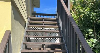 Near Beach and Downtown Apartment