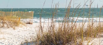 Seaclusion Beach View Cottage, Pet Friendly