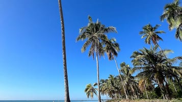Ubicación a pie de playa y toallas de playa