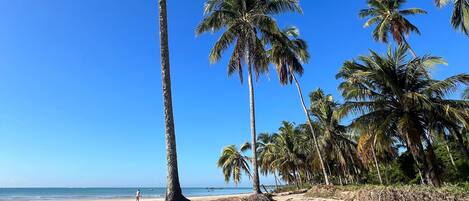 En la playa, toallas de playa