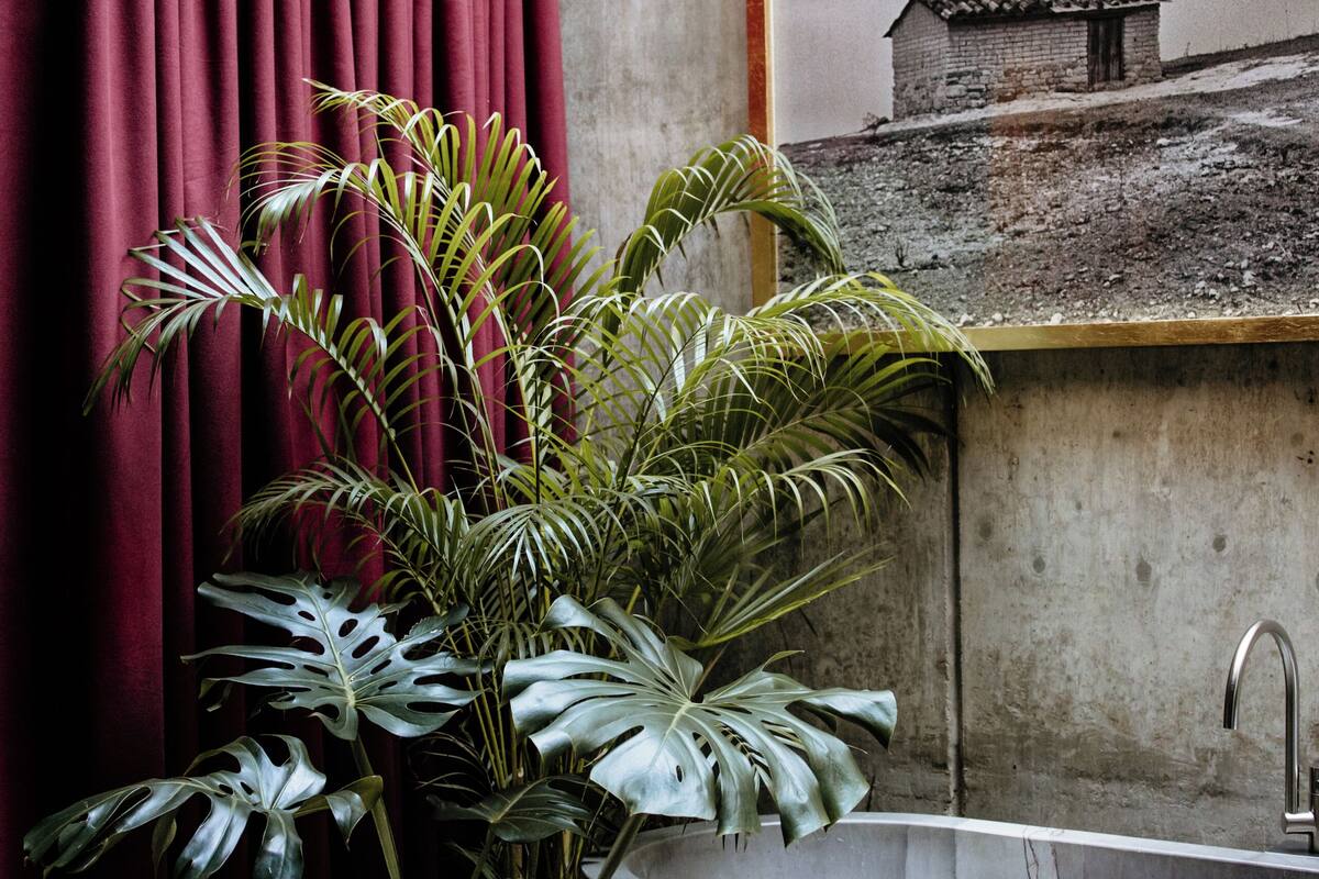 Un baño con una bañera, una planta en maceta y una cortina roja.