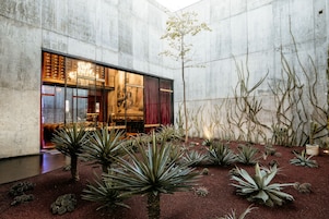 Jardin