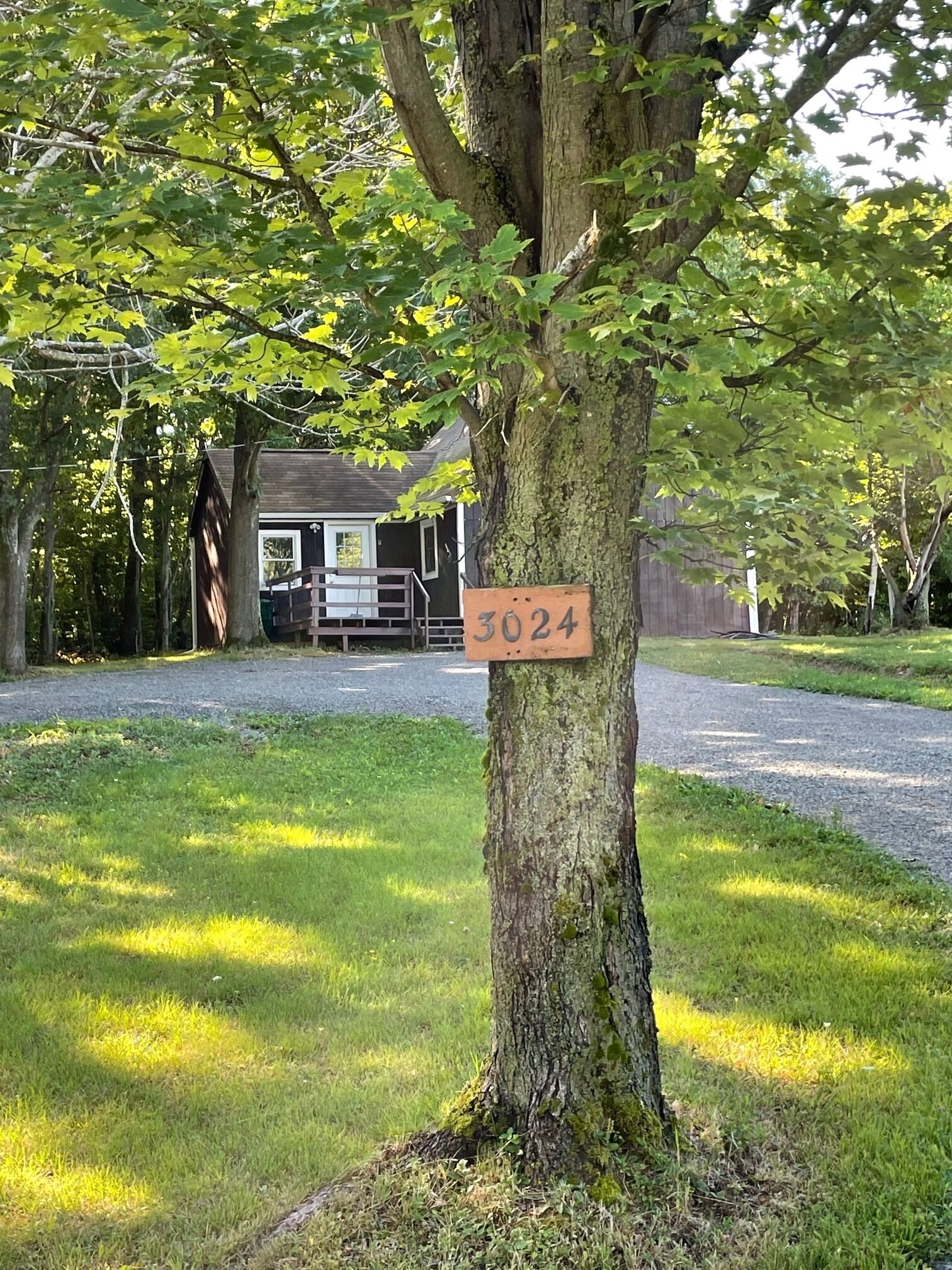 Parco della struttura