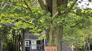 Un árbol con un cartel que dice "3024" en un área con césped y un edificio al fondo.