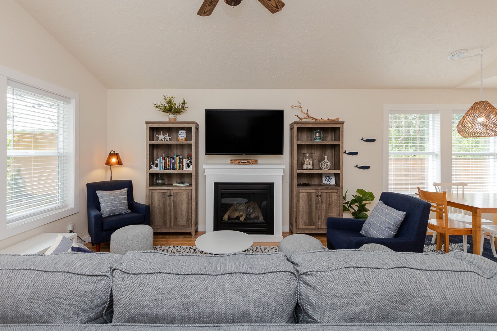 Smart TV, fireplace, books