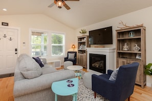 Smart TV, fireplace, books