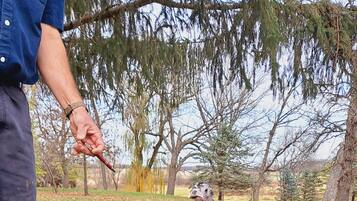 A person holding a turkey in a grassy outdoor area with trees in the background.