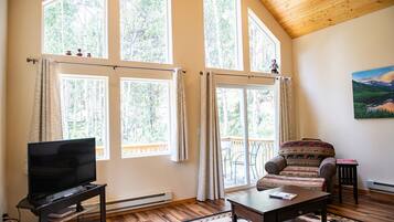 Smart TV, chimenea y libros