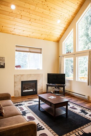 Smart TV, fireplace, books