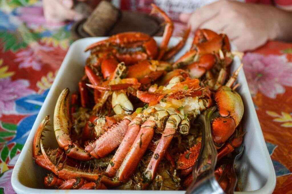 Foto - Pousada Raio de Sol