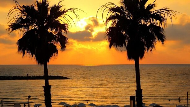 A beach scene with palm trees and umbrellas during sunset. - Hotel H7 tlv (Tel Aviv)