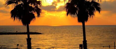 Plage à proximité, sable blanc, 10 bars de plage