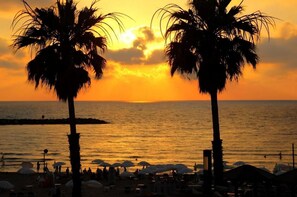 靠近海滩、白沙、10 间海滩酒吧