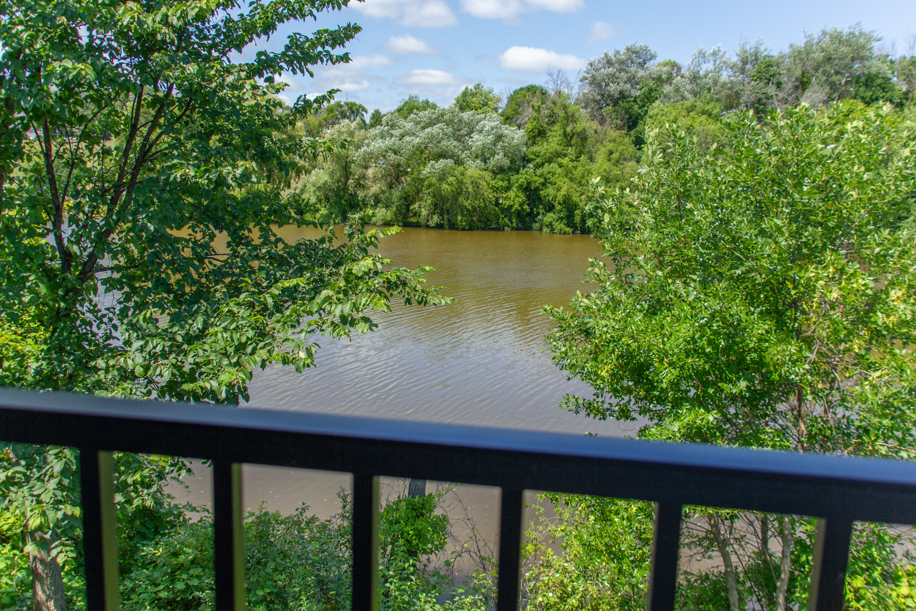 executive king suite river view | terrace/patio