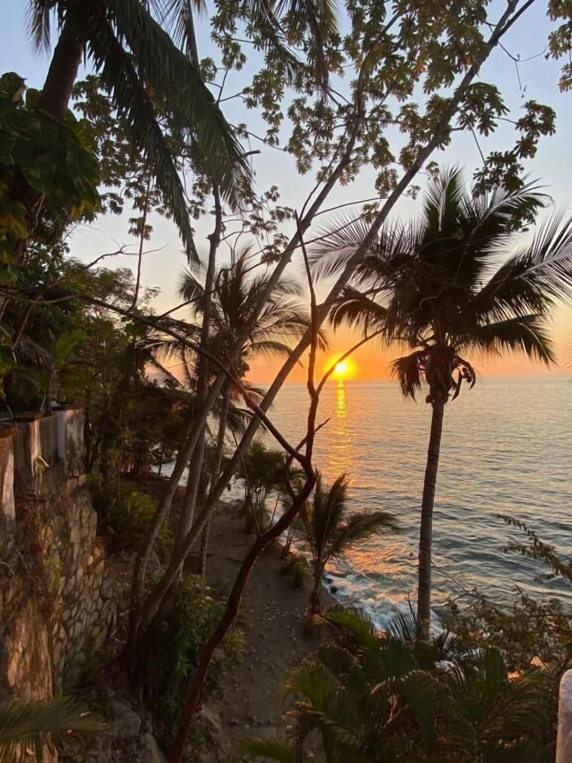 A sunset view with palm trees and a beach path.