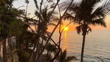 A sunset view with palm trees and a beach path.