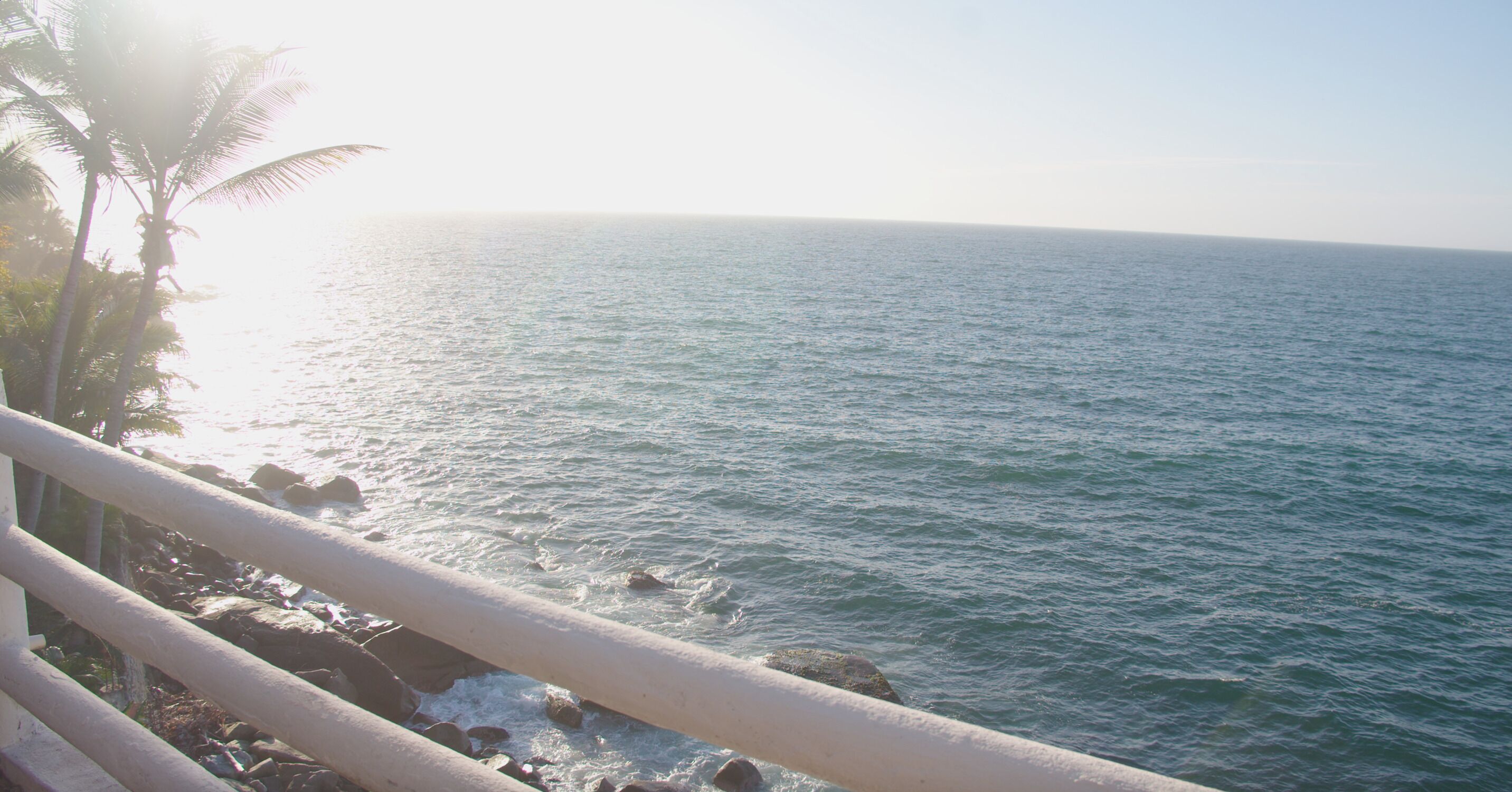 A coastal view with a railing, palm trees, and calm sea.