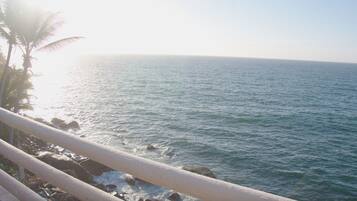 A coastal view with a railing, palm trees, and calm sea.