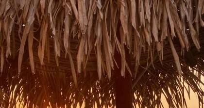 Traditional Sierra Leon Oceanfront Rooms