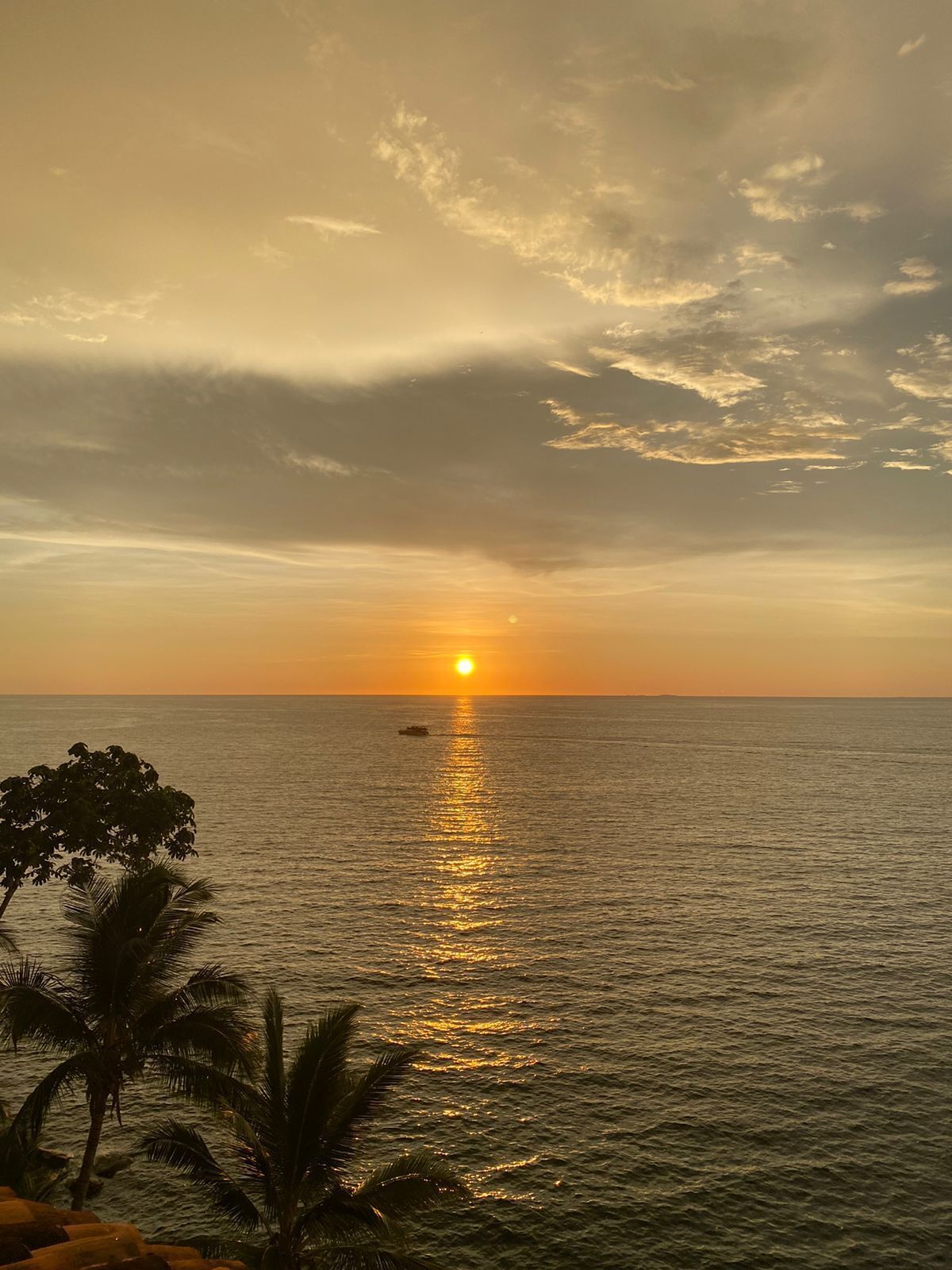 Atardecer sobre un mar tranquilo con un bote y palmeras al frente.
