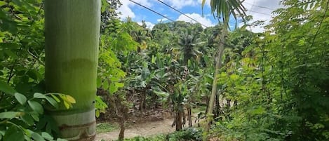 Apartamento de lujo | 2 dormitorios, colchones Tempur-Pedic, decoración individual