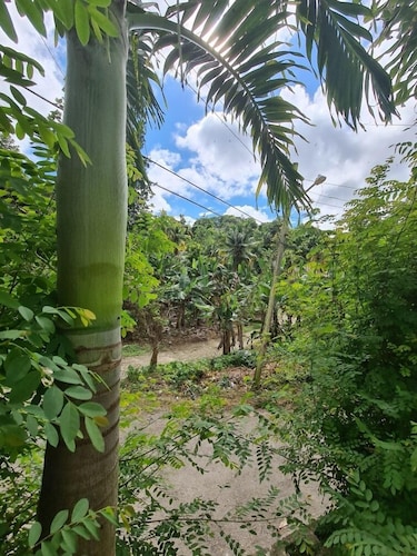 Xpress Vacations Lifestyle