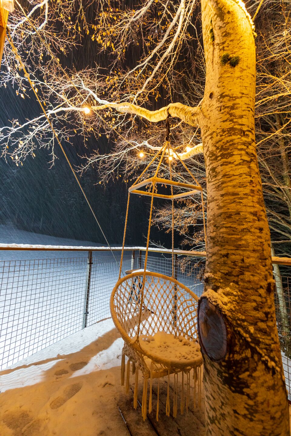 Un árbol con una silla colgante, una cerca de metal y el suelo cubierto de nieve.