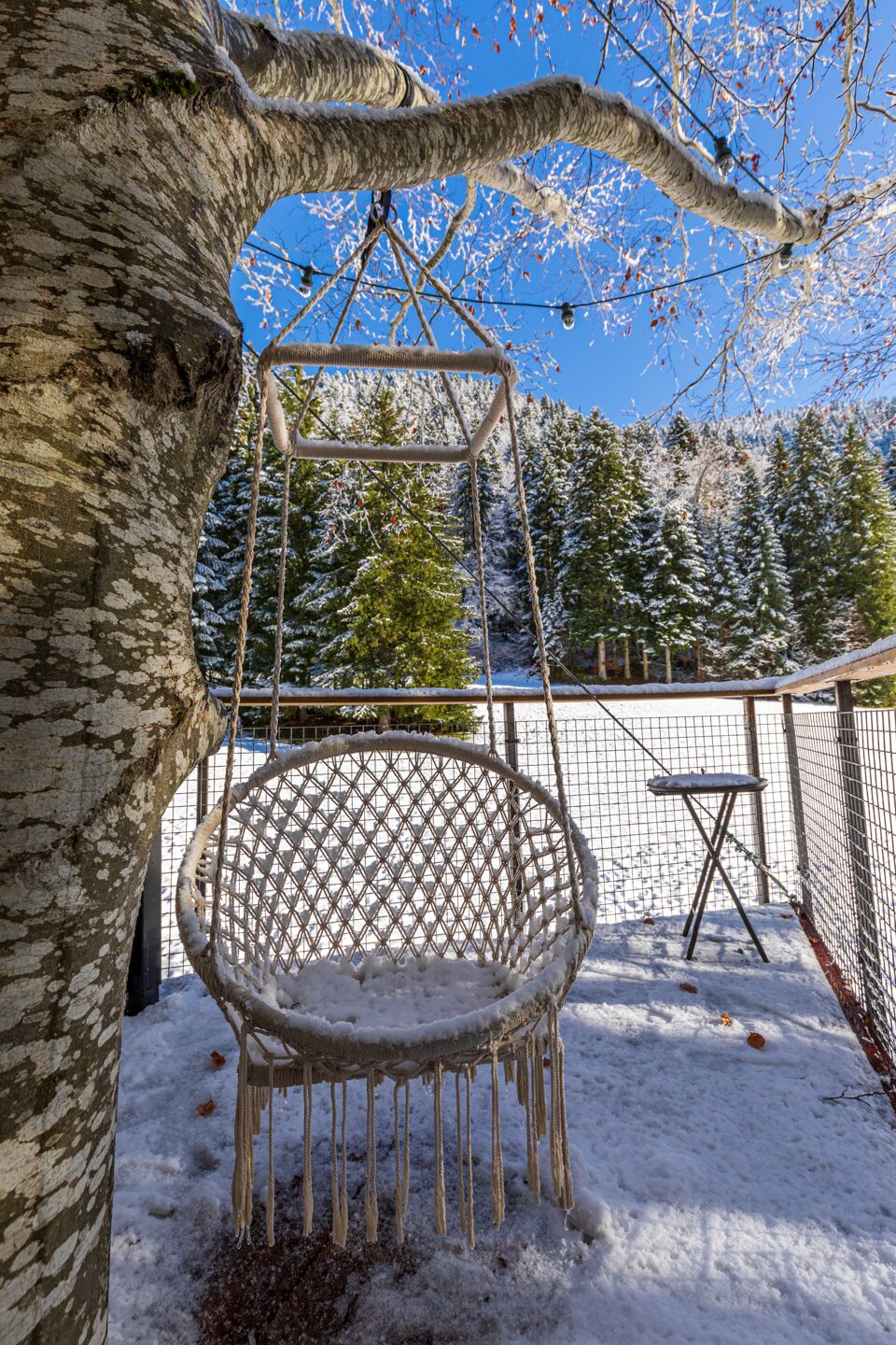 Une balançoire recouverte de neige, installée dans un espace extérieur clôturé, avec un arbre et un sol également recouvert de neige.