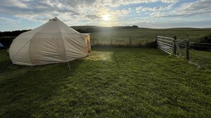 A large tent in a grassy field with a metal gate and a fence. - Impeccable 1-bed Bell Tent Near Holyhead (Holyhead)