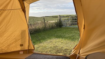 A tent with a view of a grassy field and a metal gate.