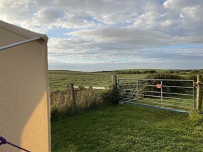 캐빈 | 숙박 시설 구내