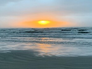 Beach nearby, sun-loungers, beach towels - Beautiful Palm Beach House only 2 blocks from the beach (Galveston)