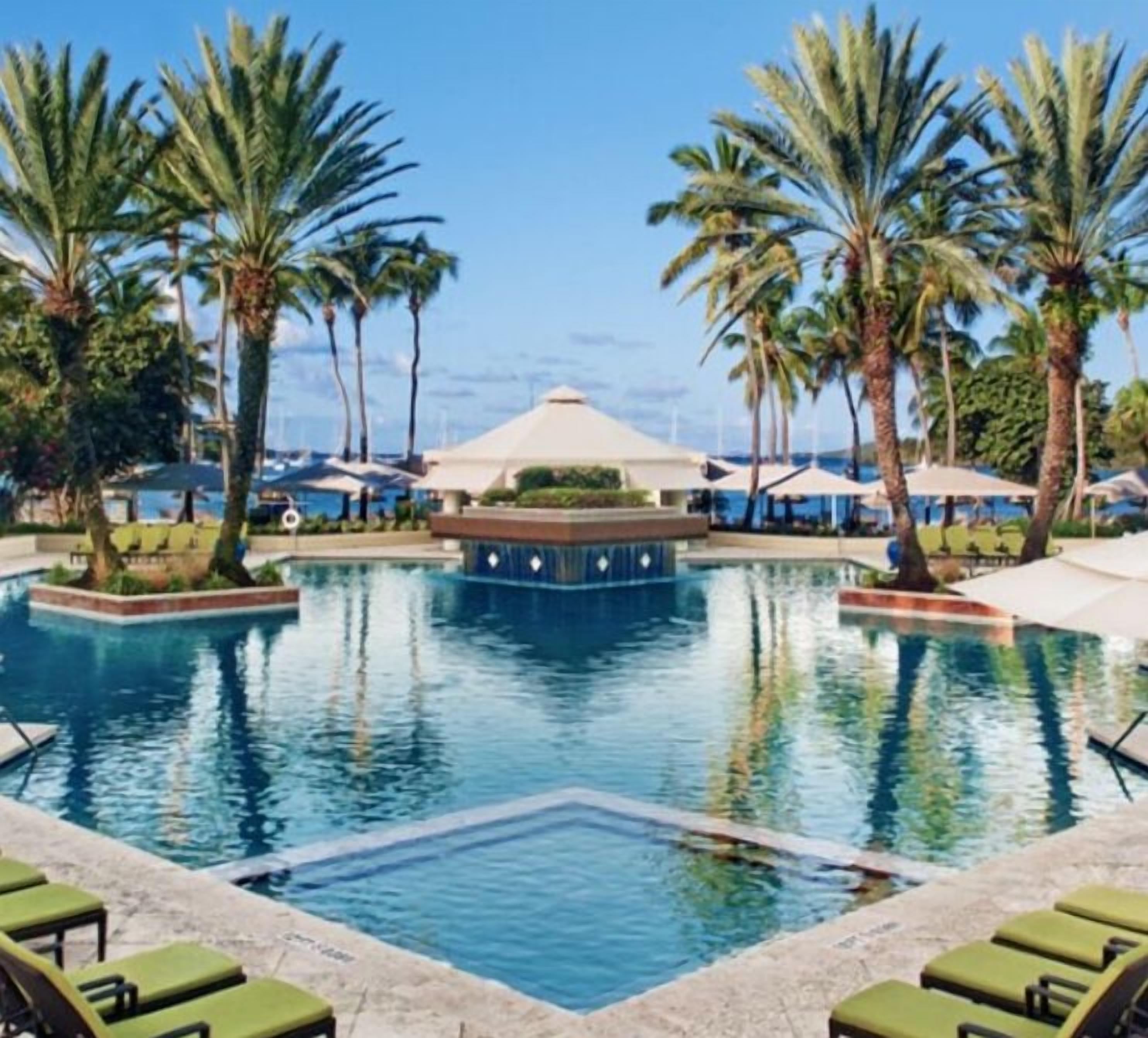 Une piscine entourée de palmiers et de chaises longues, avec un ciel dégagé en arrière-plan.