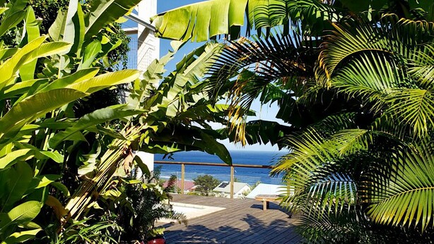 A tropical garden with a pathway leading to a building. - Charming town with panoramic views and swimming pool (Saint-Leu)