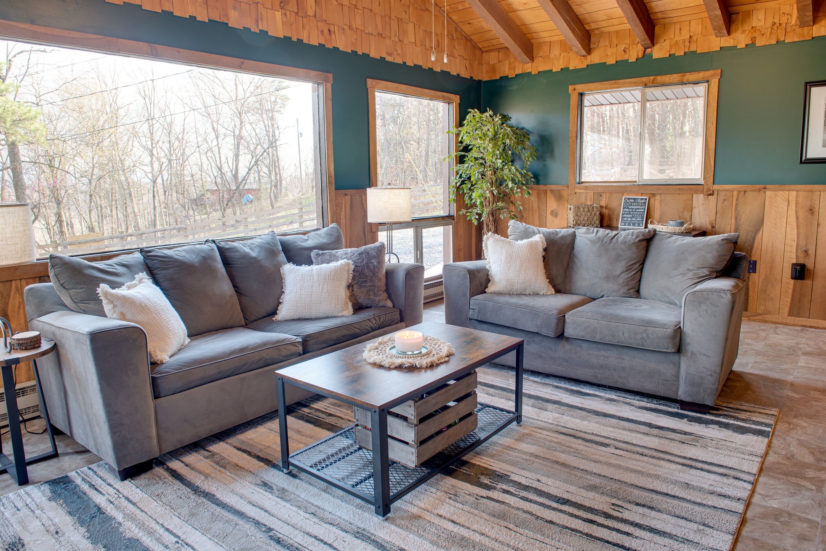 Smart TV, fireplace, DVD player, books