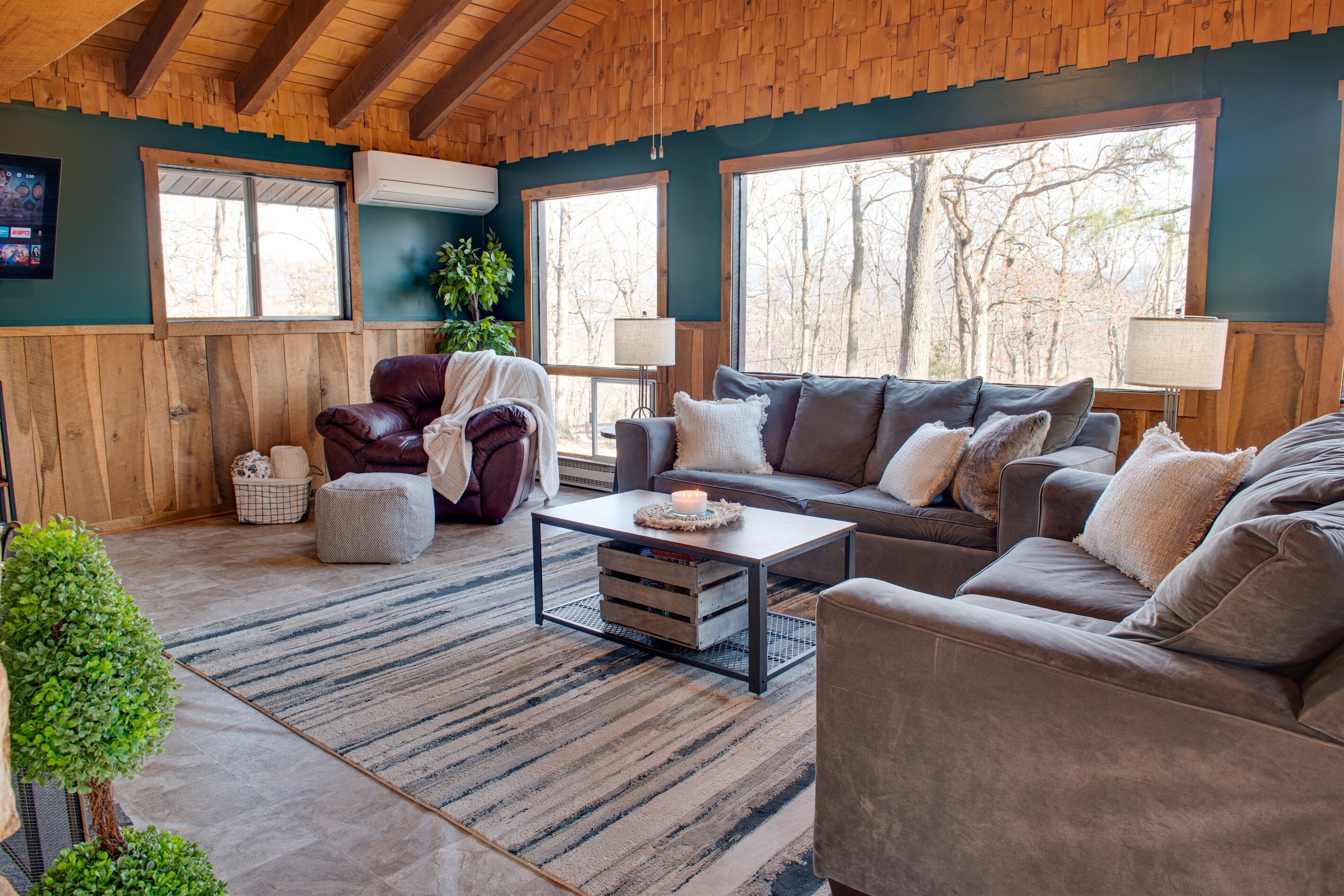 Smart TV, fireplace, DVD player, books