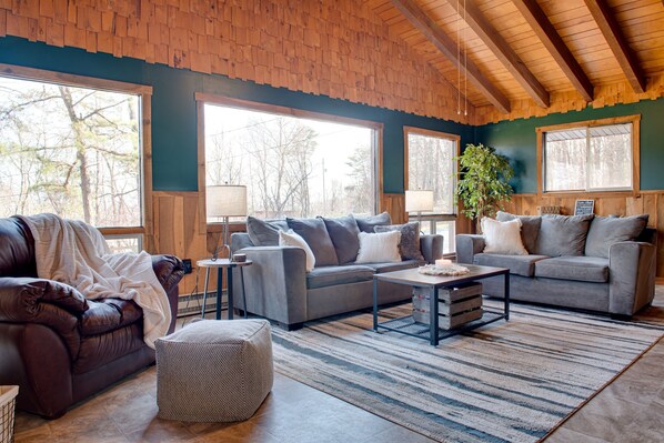 Smart TV, fireplace, DVD player, books