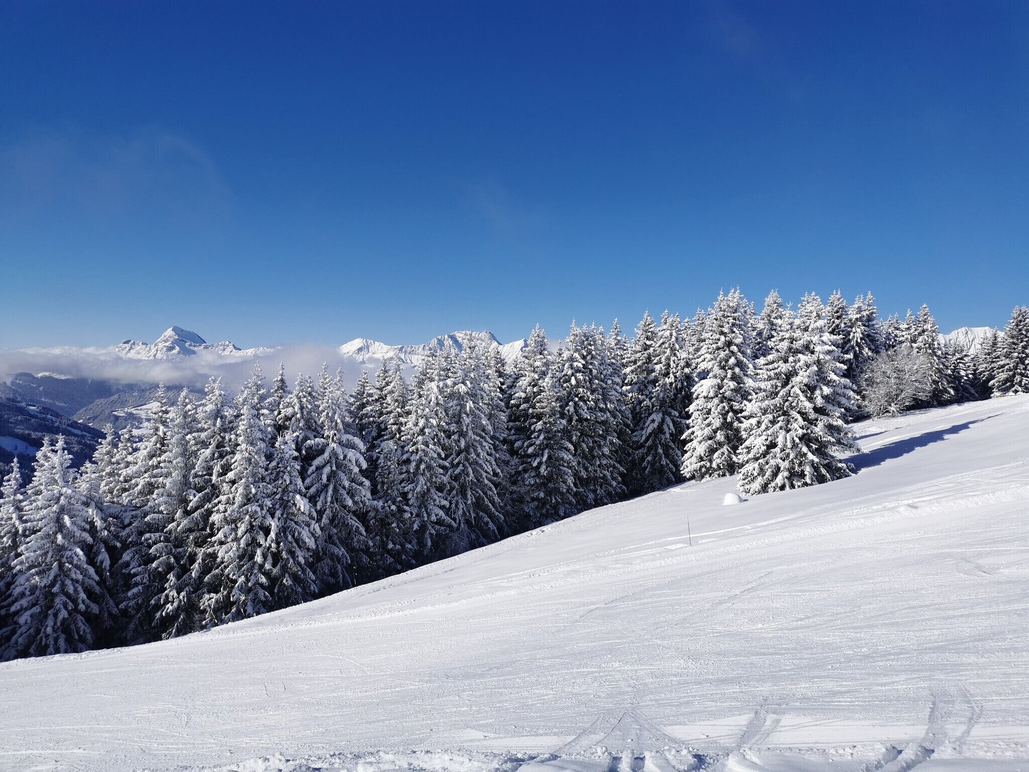 Eine verschneite Berglandschaft mit schneebedeckten Bäumen und blauem Himmel.