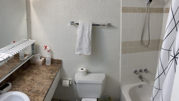 Ensemble baignoire-douche, séchoir à cheveux, serviettes fournies, savon