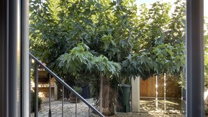 Eine terrasse mit steinbelagten Fliesen und einem Metallgeländer, umgeben von üppiger, grüner Vegetation und einem Holzzaun.