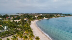 Una playa con palmeras y una vista despejada del océano.