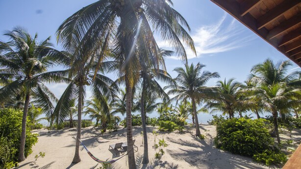 Une plage bordée de palmiers, un hamac et une structure en bois.