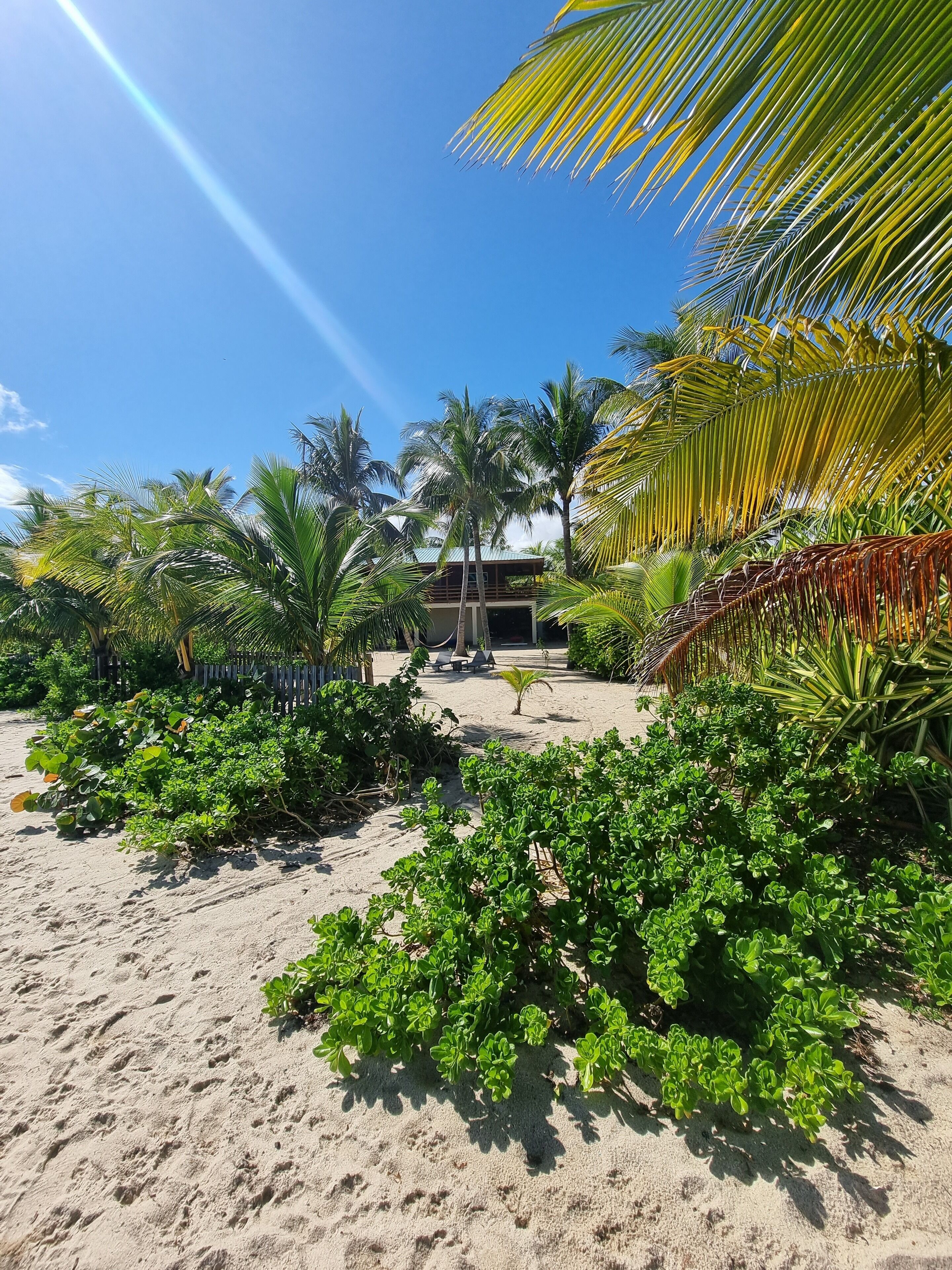 On the beach, sun loungers, beach towels
