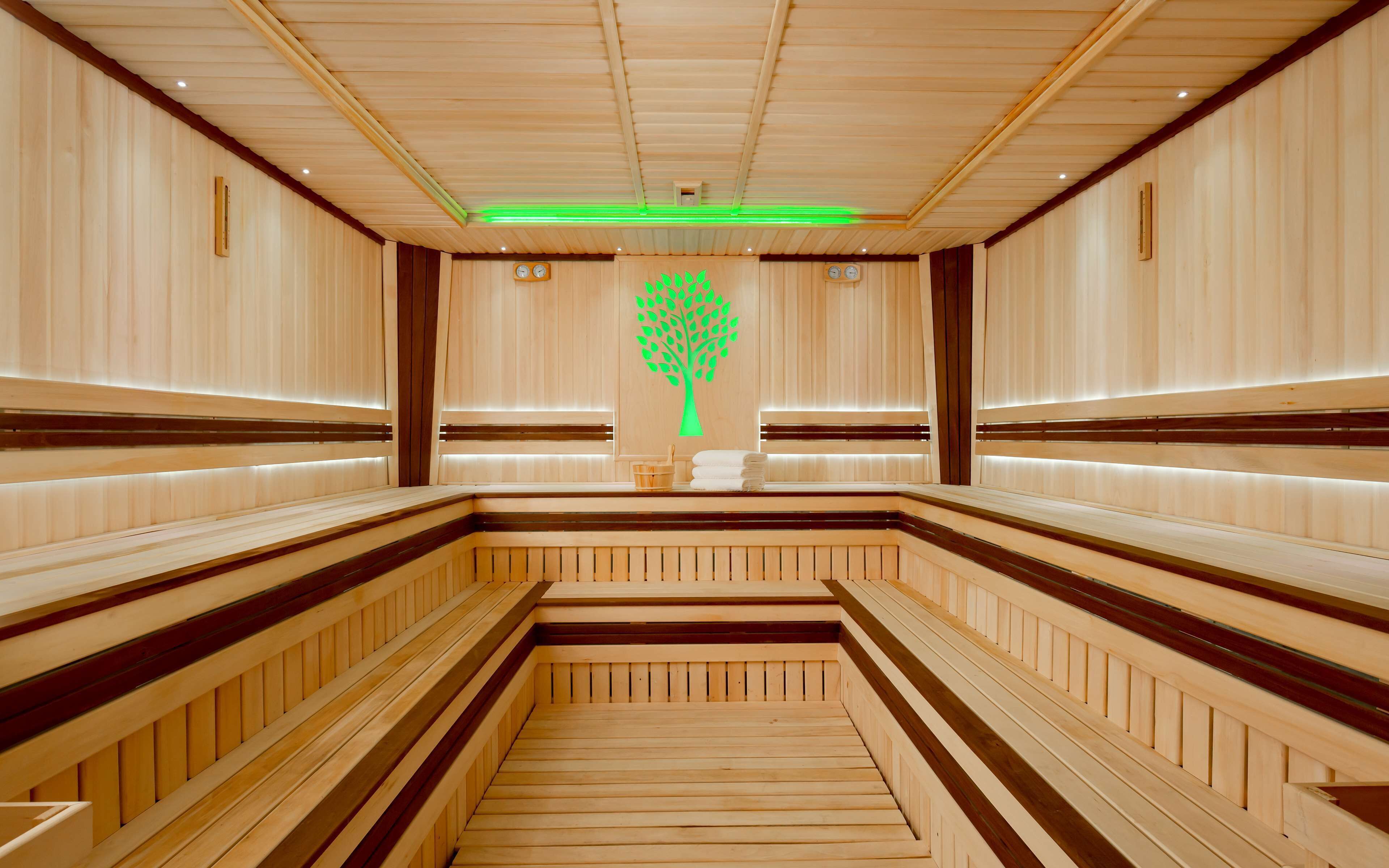A sauna with wooden benches arranged in a central aisle, a green tree mural on the back wall, and wooden paneling on the walls.