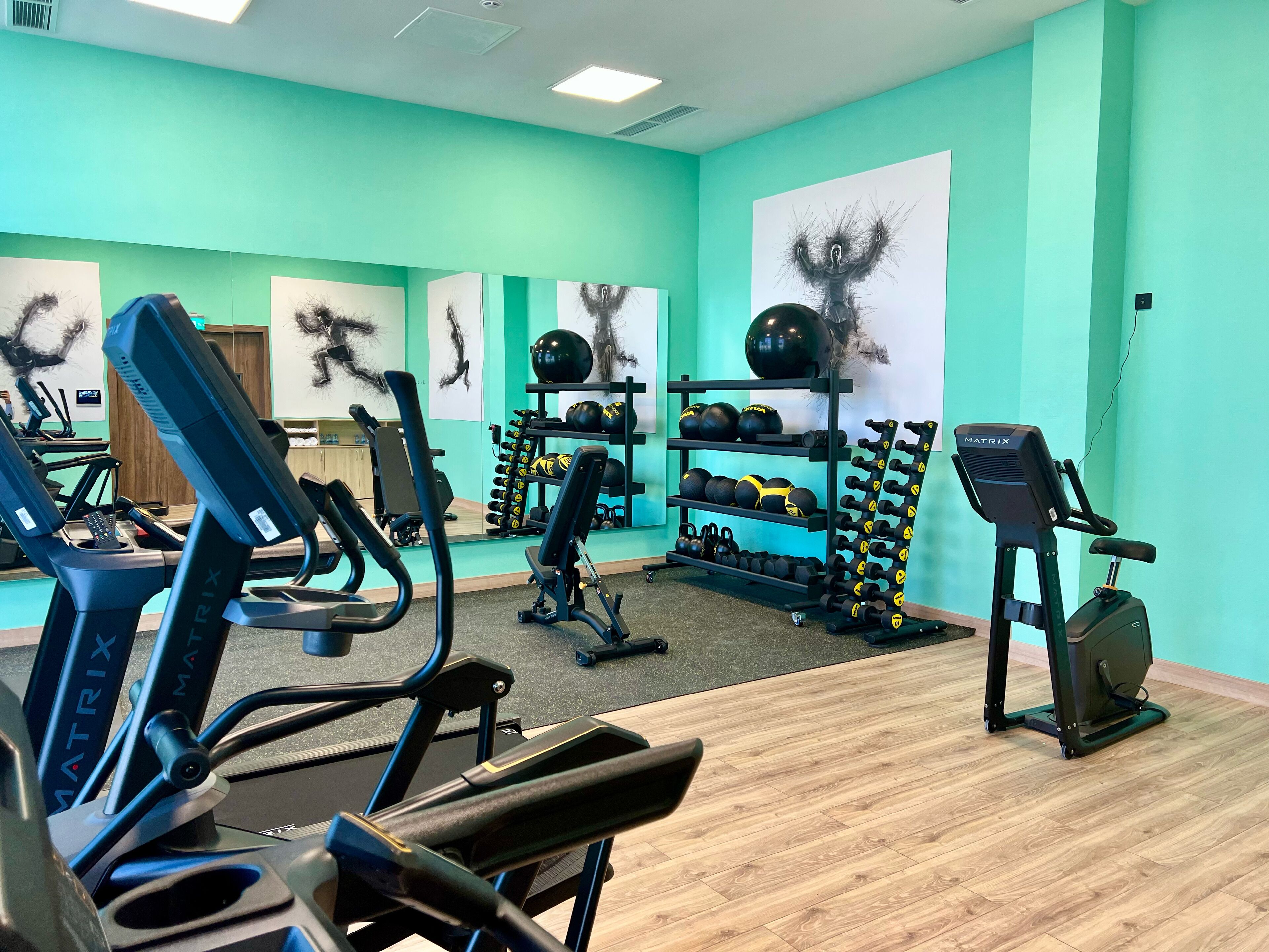 A gym with treadmills, elliptical machines, and a rack of dumbbells and medicine balls.
