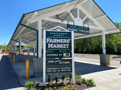 Cozy, Bright Home in Historic Downtown