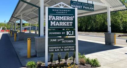 Cozy, Bright Home in Historic Downtown