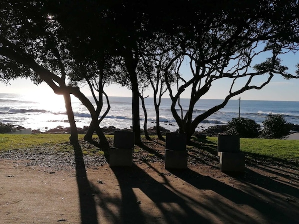 On the beach, beach towels - Studio with courtyard, at 3 min walking from the beach and 20 from center by BUS (Porto)